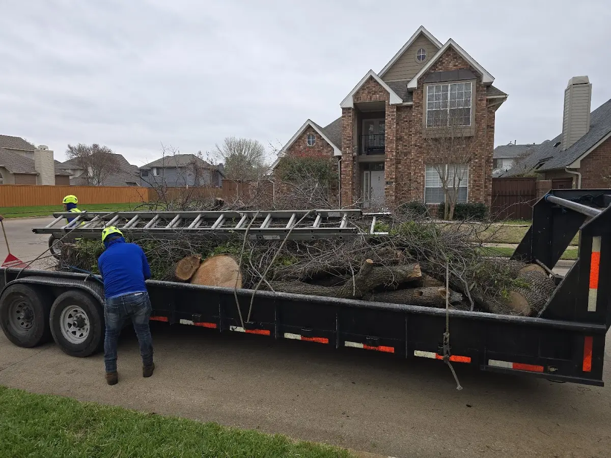 Expert Lot Clearing with proper safety equipment in Crown Point